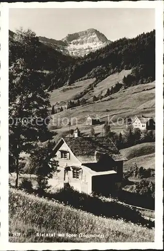 Steintal mit Speer Appenzeller Alpen Kat. Ebnat Kappel
