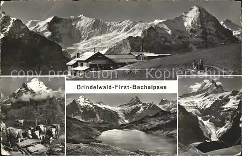 Grindelwald First Bachalpsee Kat. Grindelwald