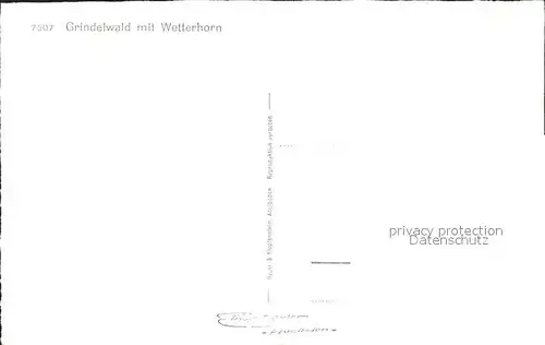 Grindelwald mit Wetterhorn Kat. Grindelwald