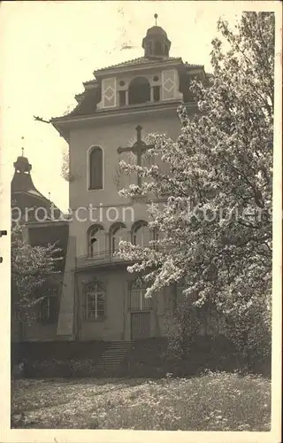 Rorschach Bodensee Partie an der Kirche Baumbluete Kat. Rorschach