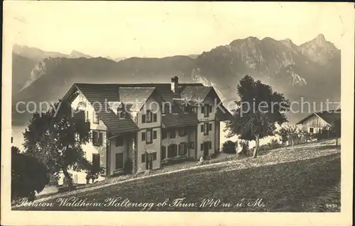 Thun BE Pension Waldheim Haltenegg Kat. Thun