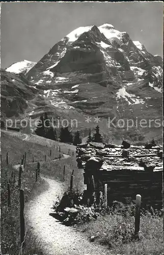 Muerren BE Weg nach Spielbodenalp mit Jungfrau Kat. Muerren