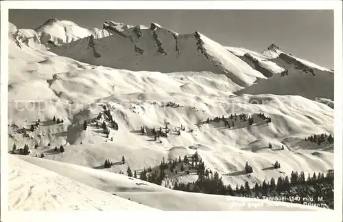 Tannenbueel Skifelder Blick gegen Scheidegg und Brisch Winterpanorama