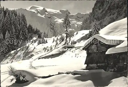 Engelberg OW Skigebiet Gerschnialp mit Titlis Urner Alpen Winterpanorama Kat. Engelberg