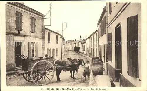 Ile de Re Rue de la marie Ochsenkarren / Saint-Martin-de-Re /Arrond. de La Rochelle