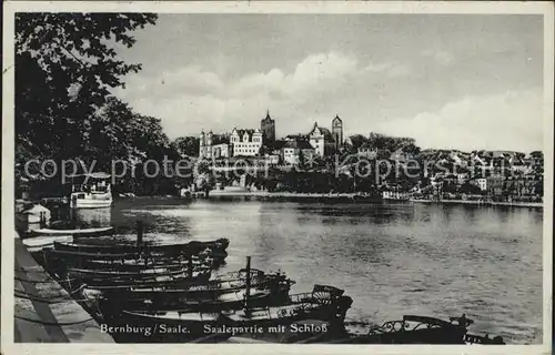Bernburg Saale Saaleparte mit Schloss Kat. Bernburg