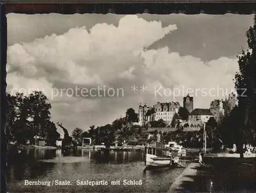 Bernburg Saale Saalepartie mit Schloss Kat. Bernburg