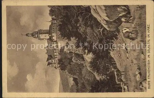 Harz Region Burg Falkenstein Selketal