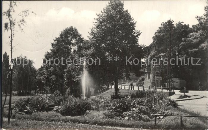 Alsleben Saale Staedtische Anlagen Kat. Alsleben Nr. dp63955 oldthing