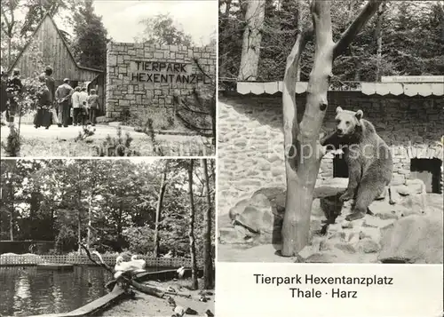 Thale Harz Tierpark Hexentanzplatz Kat. Thale