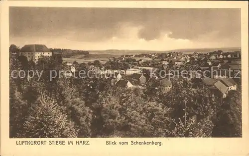 Stiege Luftkurort Blick vom Schenkenberg Kat. Stiege