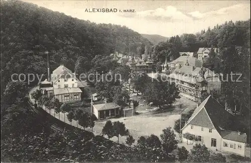 Alexisbad Harz Ortsansicht Kat. Harzgerode