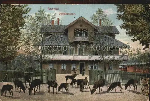 Bodetal Harz Dambachhaus Kat. Treseburg