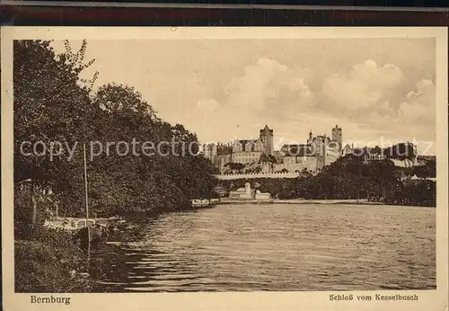 Bernburg Saale Schloss Blick vom Kesselbusch Kat. Bernburg