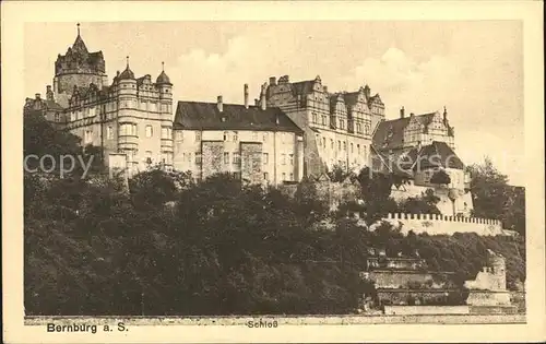 Bernburg Saale Schloss Kat. Bernburg