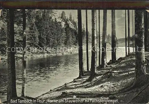 Tambach Dietharz Partie am Stauwehr mit Fuchsbergtempel Kat. Tambach Dietharz