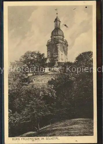 Falkenstein Harz Burg Kat. Falkenstein Harz