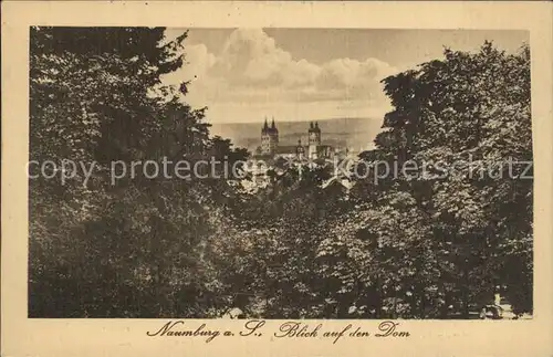 Naumburg Saale Blick auf den Dom Kat. Naumburg