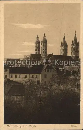 Naumburg Saale Dom Kat. Naumburg