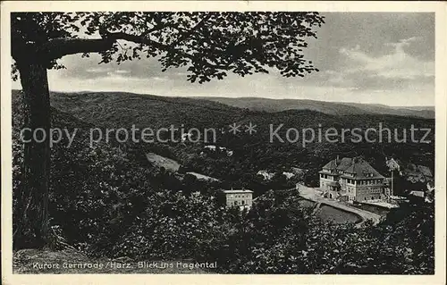 Gernrode Harz Blick ins Hagental Kat. Gernrode Harz