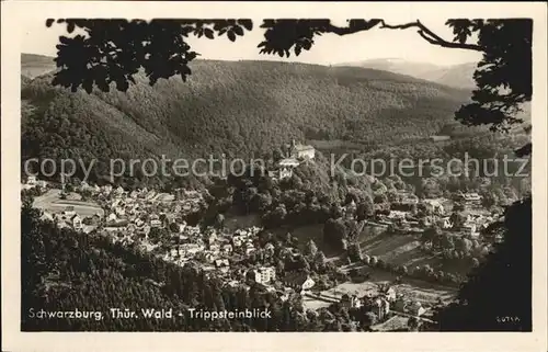 Schwarzburg Thueringer Wald Trippsteinblick Kat. Schwarzburg