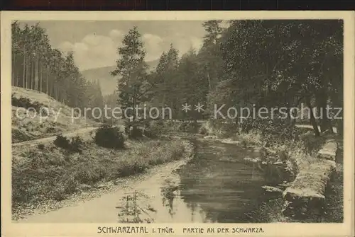 Schwarzatal Partie an der Schwarza Kat. Rudolstadt