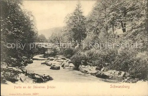 Schwarzburg Thueringer Wald Partie an der Steinernen Bruecke Kat. Schwarzburg