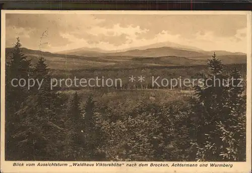 Friedrichsbrunn Harz Aussichtsturm Waldhaus Viktorshoehe Achtermann Wurmberg Kat. Friedrichsbrunn