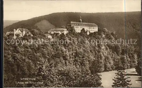 Schwarzburg Thueringer Wald Schloss mit Hirschwiese Kat. Schwarzburg