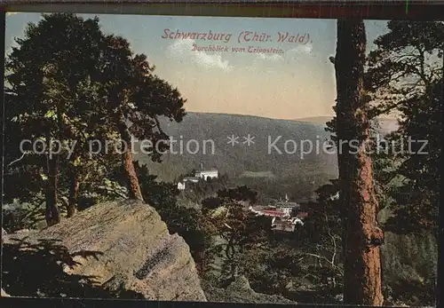 Schwarzburg Thueringer Wald Blick vom Trippstein Kat. Schwarzburg