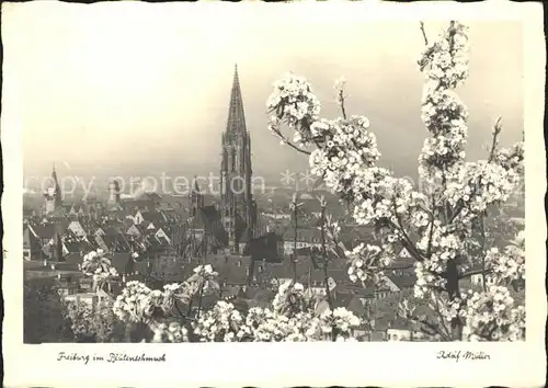 Foto Mueller Adolf Freiburg im Breisgau im Bluetenschmuck Kat. Freiburg im Breisgau