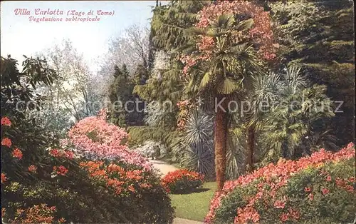 Lago di Como Villa Carlotta Garten Kat. Italien