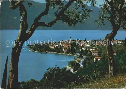 Torri del Benaco Lago di Garda  Kat. Lago di Garda 