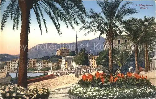 Santa Margherita Ligure Ligure Strand Palmen / Italien /