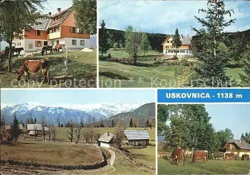 Uskovnica  Kat. Serbien