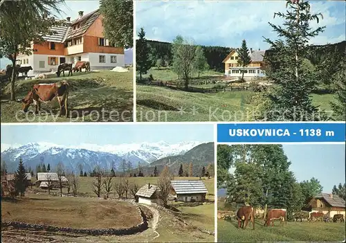 Uskovnica  Kat. Serbien