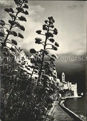 Rab Kroatien Promenade am Meer Kat. Hrvatska