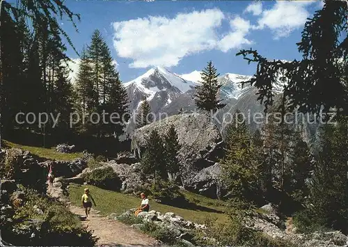 Graechen VS Spazierweg Graechen Ried Weisshorn Brunegghorn Bishorn Kat. Graechen