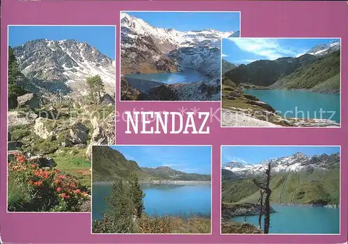 Nendaz See Blumen Alpe / Haute-Nendaz /Bz. Conthey