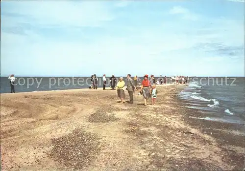 Skagen Grenen Kat. Daenemark