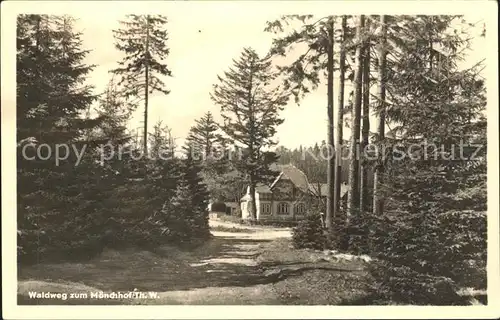 Moenchhof Manebach Waldweg zum Moenchhof Kat. Moenchhof