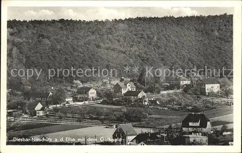 Nieschuetz Diesbar Teilansicht mit dem Golkwald Kat. Diera Zehren