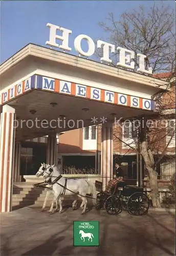 Lipica Hotel Maestoso Pferdekutsche Kat. Sezana