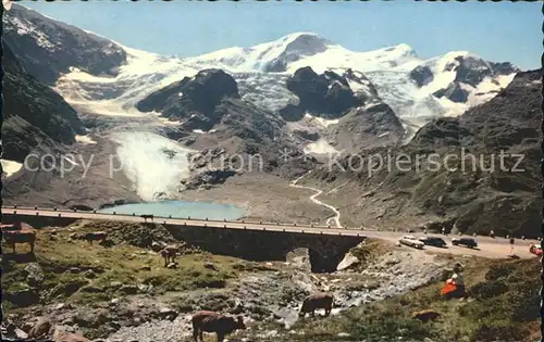 Sustenstrasse Steingletscher Gwaechtenhorn Tierberge Kat. Susten