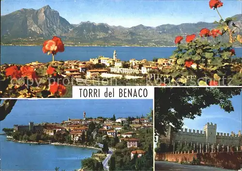 Torri del Benaco Burg Teilansichten Kat. Lago di Garda 