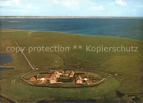 Hallig Groede Fliegeraufnahme Insel kleinste Gemeinde der Bundesrepublik Kat. Groede Hallig