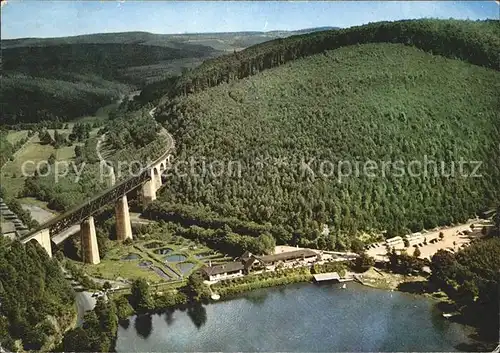 Eiswoog Fliegeraufnahme Gasthof Forelle Viadukt Kat. Ramsen