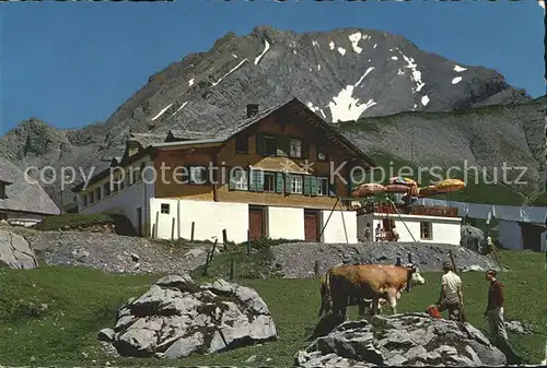 Adelboden Berghotel Engstlienalp Grosslohner Westgrat Kuehe Kat. Adelboden