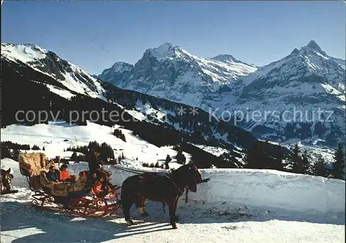 Grindelwald Wetterhorn Schreckhorn Bussalp Schlittenpost  Kat. Grindelwald