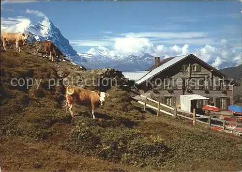 Grindelwald Hotel Grosse Scheidegg Eiger Kat. Grindelwald